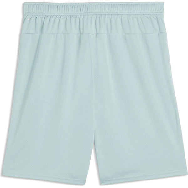 Puma Teamgoal Shorts Herren - Mint