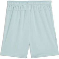 Vorschau: Puma Teamgoal Shorts Herren - Mint