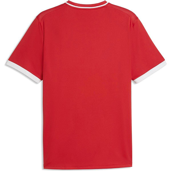 Puma Teamliga Striped Trikot Kurzarm Herren - Rot / Weiß