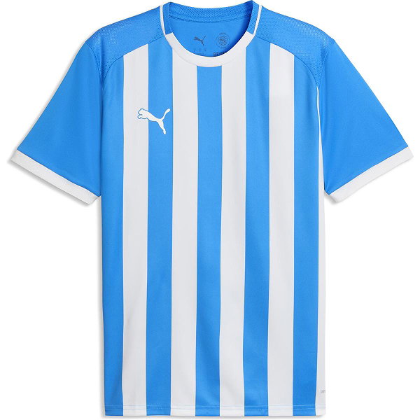 Puma Teamliga Striped Trikot Kurzarm Herren - Royal / Weiß