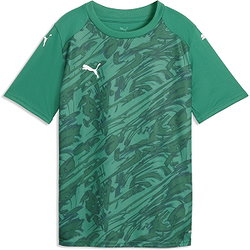 Puma Teamfinal Graphic Maillot Manches Courtes Enfants - Vert