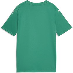 Présentation: Puma Teamfinal Graphic Maillot Manches Courtes Enfants - Vert