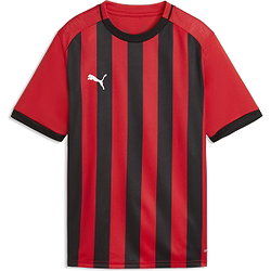 Puma Teamliga Striped Trikot Kurzarm Kinder - Rot / Schwarz
