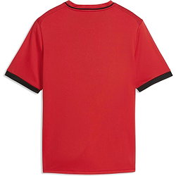Présentation: Puma Teamliga Striped Maillot Manches Courtes Enfants - Rouge / Noir