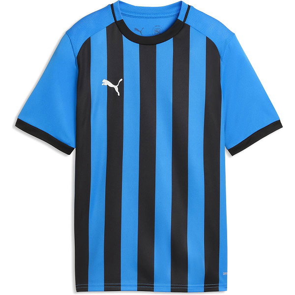 Puma Teamliga Striped Maillot Manches Courtes Enfants - Royal / Noir
