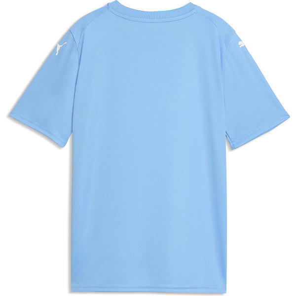 Puma Teamfinal Graphic Maillot Manches Courtes Enfants - Bleu Ciel