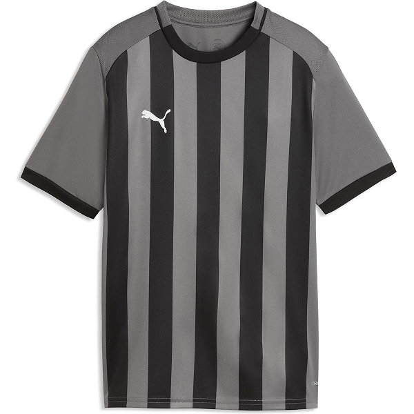 Puma Teamliga Striped Maillot Manches Courtes Enfants - Gris / Noir