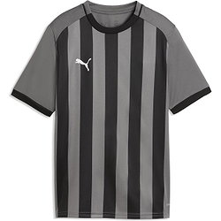 Puma Teamliga Striped Trikot Kurzarm Kinder - Grau / Schwarz