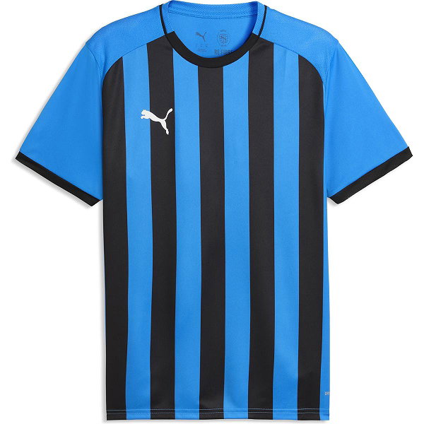 Puma Teamliga Striped Trikot Kurzarm Herren - Royal / Schwarz