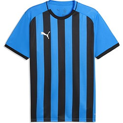 Puma Teamliga Striped Maillot Manches Courtes Hommes - Royal / Noir