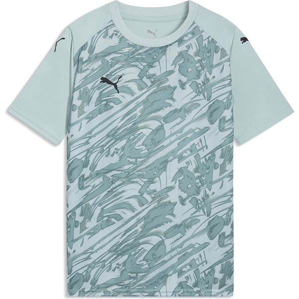 Puma Teamfinal Graphic Trikot Kurzarm Kinder - Mint