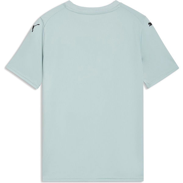 Puma Teamfinal Graphic Trikot Kurzarm Kinder - Mint