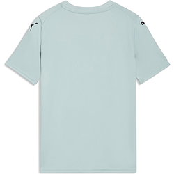 Vorschau: Puma Teamfinal Graphic Trikot Kurzarm Kinder - Mint