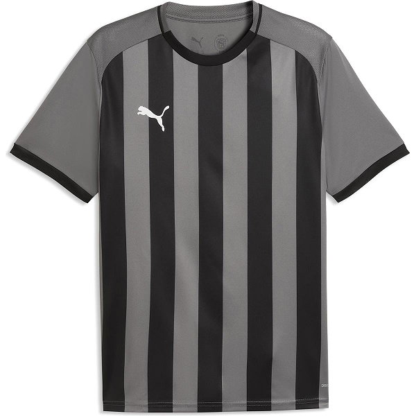 Puma Teamliga Striped Trikot Kurzarm Herren - Grau / Schwarz