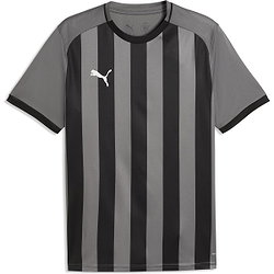 Puma Teamliga Striped Maillot Manches Courtes Hommes - Gris / Noir