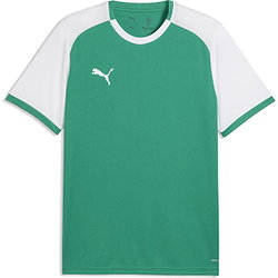 Vorschau: Puma Teamliga Matchday Trikot Kurzarm Herren - Grün