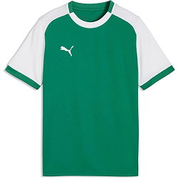 Puma Teamliga Matchday Maillot Manches Courtes Enfants - Vert