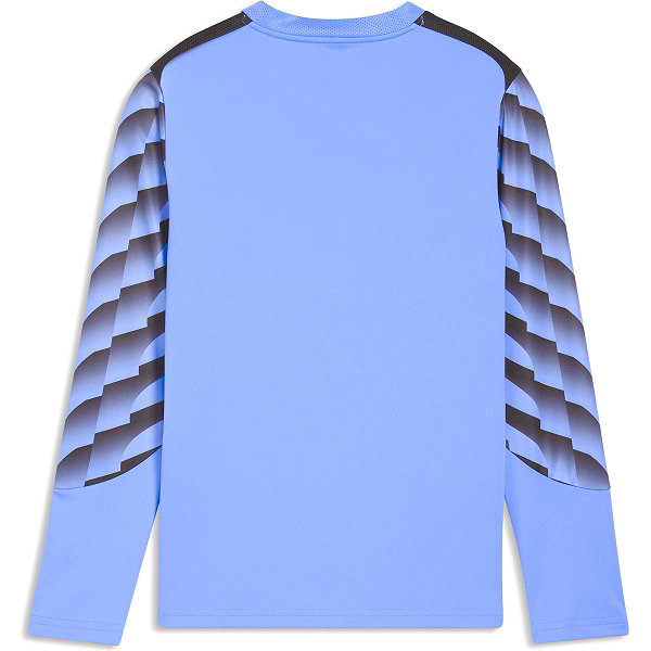Puma Teamliga Keepershirt Lange Mouw Kinderen - Hemelsblauw