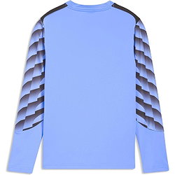 Voorvertoning: Puma Teamliga Keepershirt Lange Mouw Kinderen - Hemelsblauw