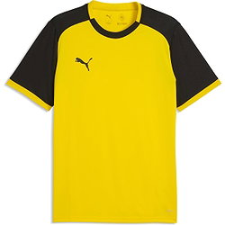 Puma Teamliga Matchday Trikot Kurzarm Herren - Gelb
