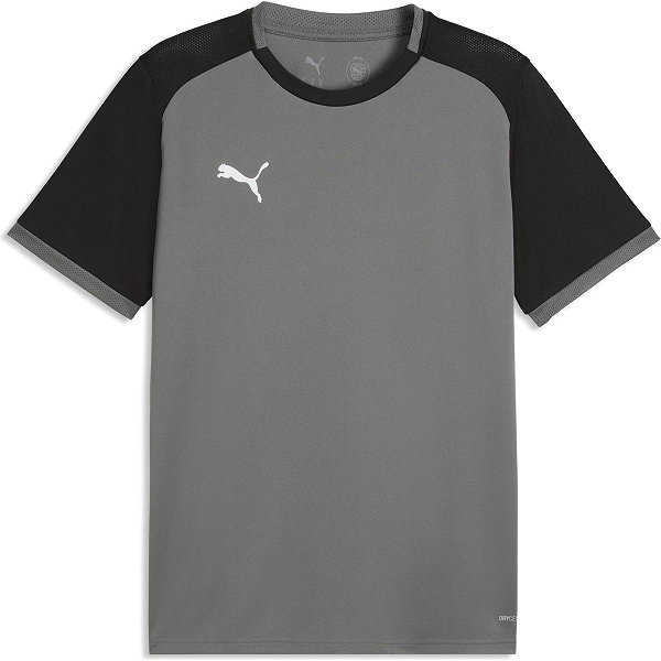 Puma Teamliga Matchday Trikot Kurzarm Herren - Grau / Schwarz