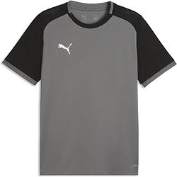 Puma Teamliga Matchday Trikot Kurzarm Herren - Grau / Schwarz
