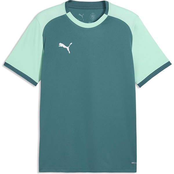 Puma Teamliga Matchday Maillot Manches Courtes Hommes - Émeraude