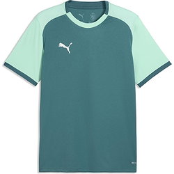 Puma Teamliga Matchday Trikot Kurzarm Herren - Smaragd