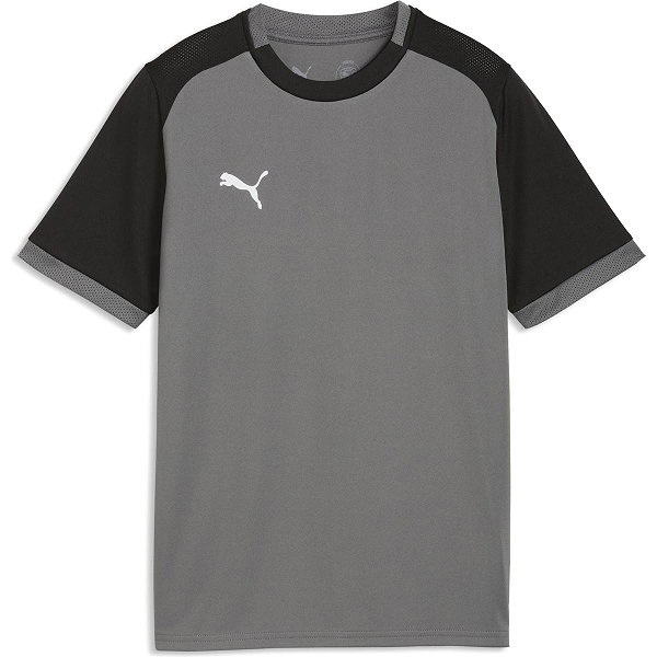 Puma Teamliga Matchday Maillot Manches Courtes Enfants - Gris / Noir