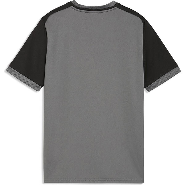 Puma Teamliga Matchday Maillot Manches Courtes Enfants - Gris / Noir