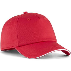 Puma Teamadditions Pet - Rood