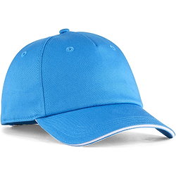 Puma Teamadditions Pet - Royal