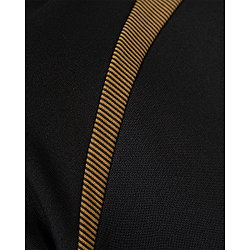 Présentation: Robey Performance 2.0 Veste D'entraînement Hommes - Noir / Or