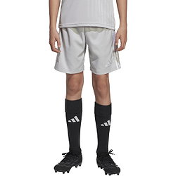 Présentation: Adidas Tastigo 25 Short Enfants - Gris Clair