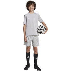 Présentation: Adidas Tastigo 25 Short Enfants - Gris Clair