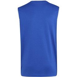 Voorvertoning: Adidas Entrada 26 Tanktop Kinderen - Royal / Wit