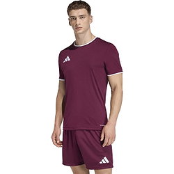 Voorvertoning: Adidas Entrada 26 Shirt Korte Mouw Heren - Bordeaux / Wit