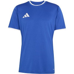 Adidas Entrada 26 Trikot Kurzarm Herren - Royal / Weiß