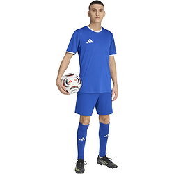 Présentation: Adidas Entrada 26 Maillot Manches Courtes Hommes - Royal / Blanc
