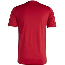 Vorschau: Adidas Entrada 26 Trikot Kurzarm Herren - Rot / Weiß