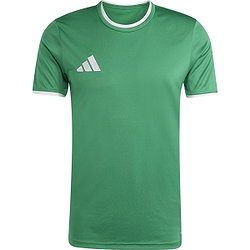 Adidas Entrada 26 Maillot Manches Courtes Hommes - Vert / Blanc