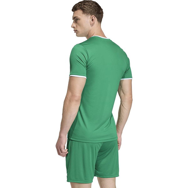 Adidas Entrada 26 Maillot Manches Courtes Hommes - Vert / Blanc