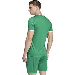Présentation: Adidas Entrada 26 Maillot Manches Courtes Hommes - Vert / Blanc