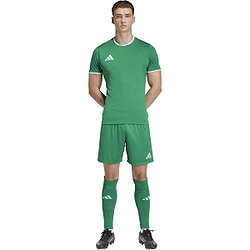Présentation: Adidas Entrada 26 Maillot Manches Courtes Hommes - Vert / Blanc