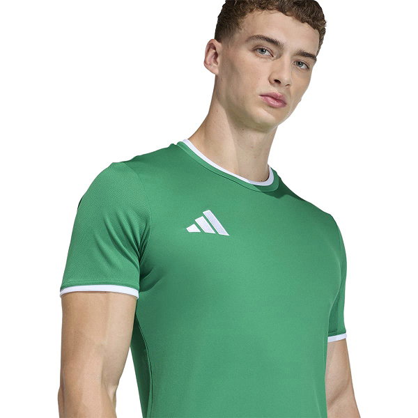 Adidas Entrada 26 Maillot Manches Courtes Hommes - Vert / Blanc
