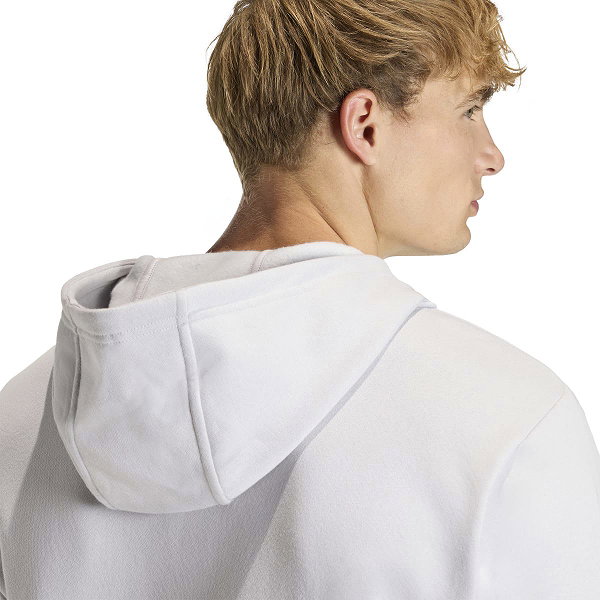 Adidas Entrada 26 Sweater Met Kap Heren - Lichtgrijs