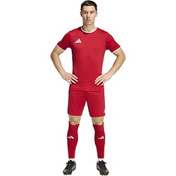 Voorvertoning: Adidas Entrada 26 Short Heren - Rood / Wit