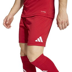 Voorvertoning: Adidas Entrada 26 Short Heren - Rood / Wit