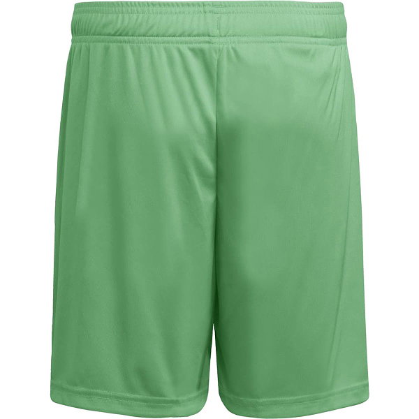 Adidas Entrada 26 Short Hommes - Vert / Blanc