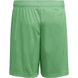 Présentation: Adidas Entrada 26 Short Hommes - Vert / Blanc